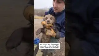They gave her a new life ❤️ #animals #wholesome