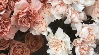Spring Equinox Meditation