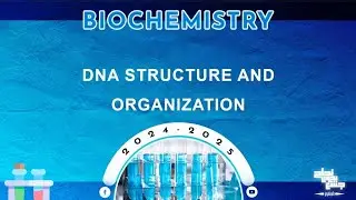 L10: DNA structure and organization; Molecular biology 1