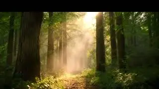 Peacefully natural video 💖💘💖 #nature #peace #lifestile 