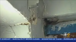Leaky Roof, Crumbling Walls; Landlord Says Tenant Must Pay For Repairs