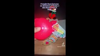 Secret Crush Pets ~Unboxing Part 1