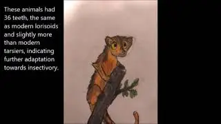 Upon the Extinct Primate Genus Shoshonius