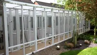 Pussy Willows Luxury Cat Hotel - Elvaston, Derby