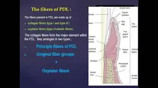 PDL Lec 10