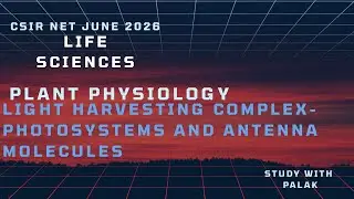 LIGHT HARVESTING COMPLES- PHOTOSYSTEM 1 & 2- PHYSIOLOGY OF PLANT-  CSIR NET | NEET- BY PALAK MAHAJAN