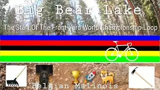 Front Yard World Championship Loop race distance 4 Laps with Riley. 🌈 🏆🐕🚀