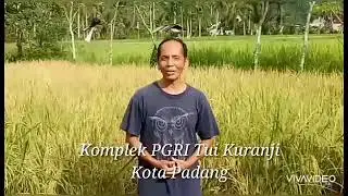 Komplek PGRI