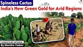 India’s New Green Gold! The Plant That Can Change Everything! | Monika Yadav | StudyIQ Optionals