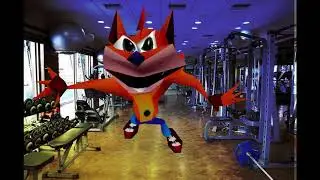 Academia Expertfit