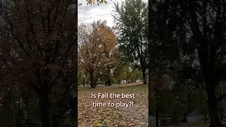 Is Fall the Best Time To Play Disc Golf?!