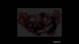 Slugfish vs A-60 Grace vs Doors
