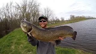 GIANT BOWFIN IN APRIL Cast to Catch