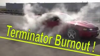 2003 SVT Cobra Burnout