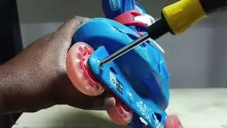 When and How to Change Wheels of Decathlon Oxelo Inline Skates