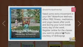 Baltimore Buzz: Waterfront Partnership Offers Free Fitness, Meditation Classes