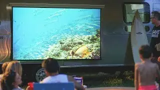 Solo - Rollable, Wireless, Zero Edge in the Palm of Your Hand.