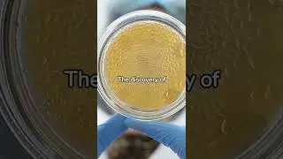 Discovery of Streptomycin Antibiotic (1943)