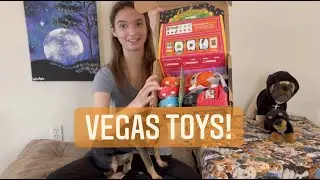 BarkBox Unboxing / April 2022