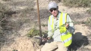Deep Dune Planting