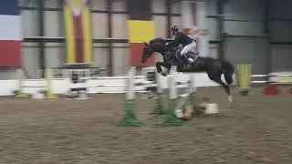 For You (Aero)_ Morris Equestrian _  Douglas Duffin