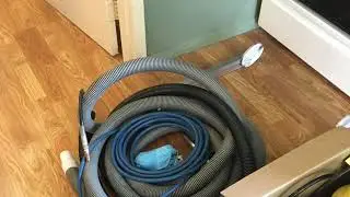 Expert Carpet Cleaning