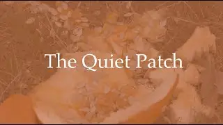 The Quiet Patch - Short Film