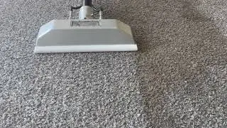 Steamaster Carpet Cleaning