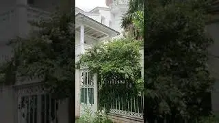 B&uuml;y&uuml;kada &Ccedil;ankaya Otel
