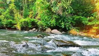 Pure Flowing River Sounds 🍃 Natural White Noise for Focus
