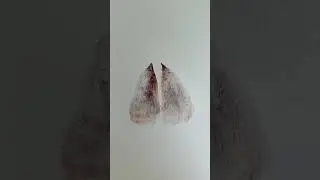 Watercolor Demonstration Painting a Watercolor Moth #watercolorpainting #howtopaint #mixedmedia