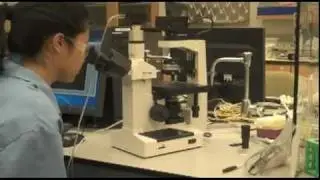TechBurst 2011: Inverted Microscope
