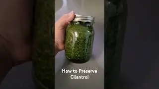 Keep Cilantro Fresh Longer! 🌿Learn a simple trick to preserve cilantro and keep it fresh for weeks!