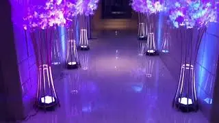 Best event planner in gorakhpur | Baba Events N Shows | Radisson Blu Gorakhpur