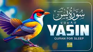 Surah Yaseen سورة يس | Peaceful Quran Recitation for Stress Relief & Deep Sleep #quranforsleep