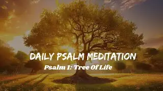 Daily Psalm Meditation: Psalm 1 Meditation | Tree Of Life