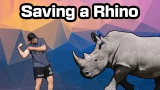 Saving a rhino from an elephant attack