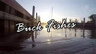 Detroit River Fishing- Sept 3 2018 Labour day weekend