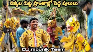 నక్కలగుట్ట ప్రాంతం లో పెద్దపులులు సంచారం #muharram#mallishwaricreations #korutlavideos