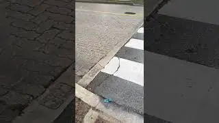 How the pedestrian work just watch this video #canada #pedestrian