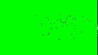 blowing leaves green screen