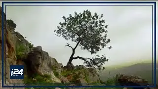 Hidden Gems of Israel: Ein Shoirech