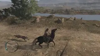 How to eliminate a cougar with a dynamite in Red Dead Redemption