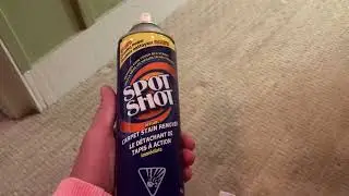 Spot Shot Stain Remover - The BEST carpet stain remover I have ever used!