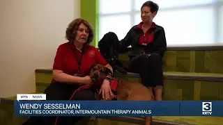 Wanted: volunteers with friendly dogs