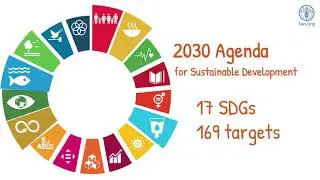Responsible investment in agriculture and food systems and the Sustainable Development Goals