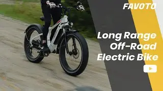 Introducing Flurry Off-Road Electric Bike