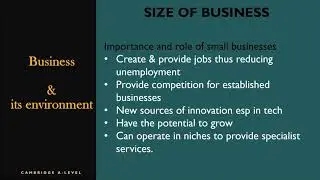 [A-LEVEL Cambridge Business Studies] Business size & Family businesses