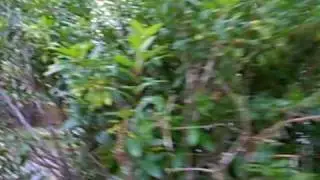 PORN SLIDE ..........OH YEA!!!!