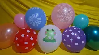 FUN FROG HAPPY BIRTHDAY BALLOONS POP!!!